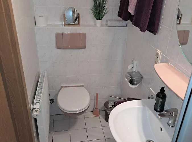 Moselpension Gwosch Bruttig-Fankel